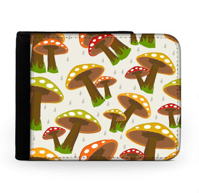 

Snoogg Men Multicolor Canvas Wallet(6 Card Slots), Multi