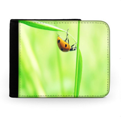 

Snoogg Men Multicolor Canvas Wallet(6 Card Slots), Multi