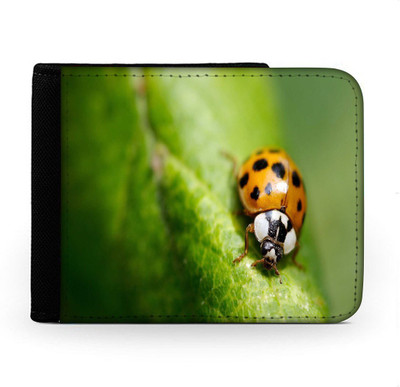 

Snoogg Men Multicolor Canvas Wallet(6 Card Slots), Multi