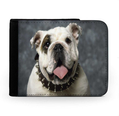 

Snoogg Men Multicolor Canvas Wallet(6 Card Slots), Multi