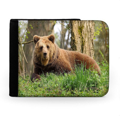 

Snoogg Men Multicolor Canvas Wallet(6 Card Slots), Multi