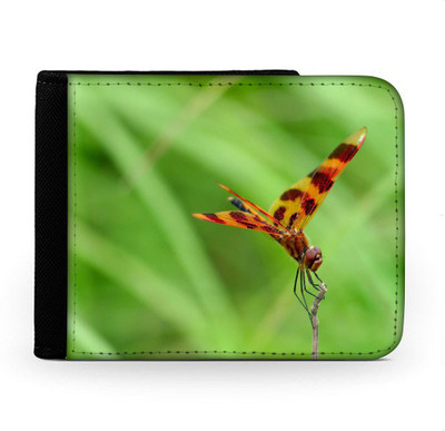 

Snoogg Men Multicolor Canvas Wallet(6 Card Slots), Multi