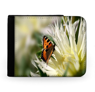 

Snoogg Men Multicolor Canvas Wallet(6 Card Slots), Multi