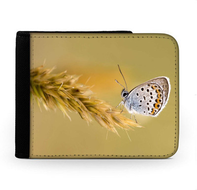 

Snoogg Men Multicolor Canvas Wallet(6 Card Slots), Multi