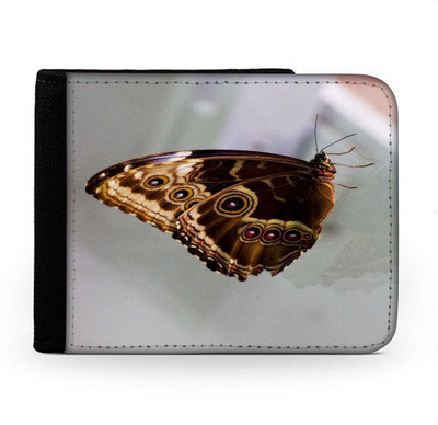 

Snoogg Men Multicolor Canvas Wallet(6 Card Slots), Multi