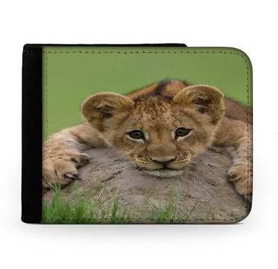 

Snoogg Men Multicolor Canvas Wallet(6 Card Slots), Multi