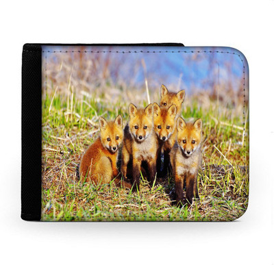 

Snoogg Men Multicolor Canvas Wallet(6 Card Slots), Multi