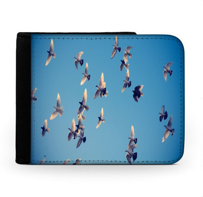 

Snoogg Men Multicolor Canvas Wallet(6 Card Slots), Multi