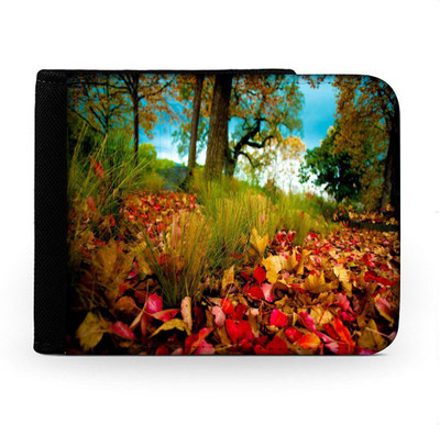 

Snoogg Men Multicolor Canvas Wallet(6 Card Slots), Multi