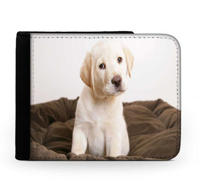 

Snoogg Men Multicolor Canvas Wallet(6 Card Slots), Multi
