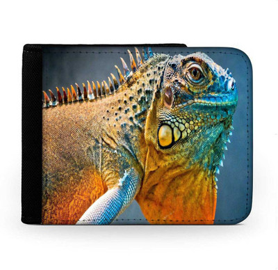 

Snoogg Men Multicolor Canvas Wallet(6 Card Slots), Multi