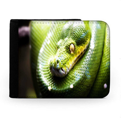 

Snoogg Men Multicolor Canvas Wallet(6 Card Slots), Multi