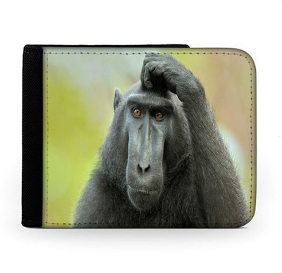 

Snoogg Men Multicolor Canvas Wallet(6 Card Slots), Multi