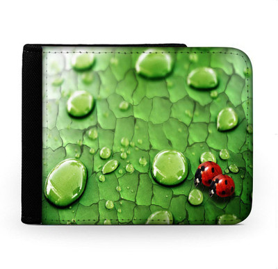 

Snoogg Men Multicolor Canvas Wallet(6 Card Slots), Multi