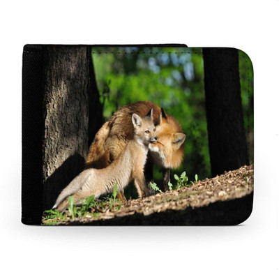 

Snoogg Men Multicolor Canvas Wallet(6 Card Slots), Multi