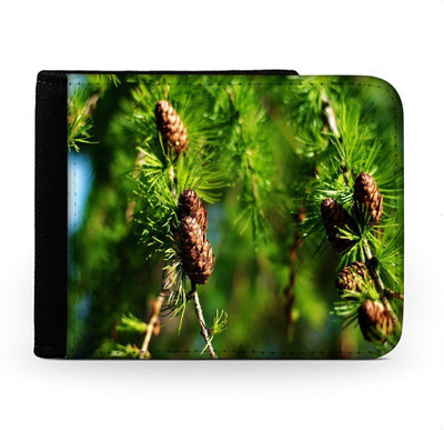 

Snoogg Men Multicolor Canvas Wallet(6 Card Slots), Multi