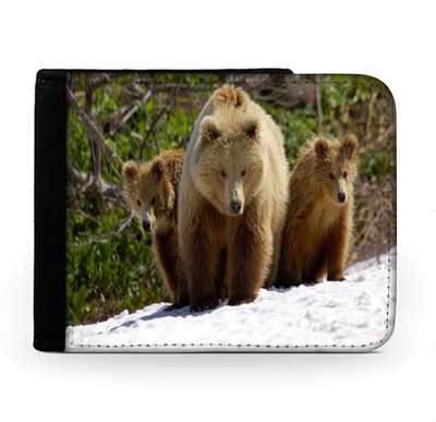 

Snoogg Men Multicolor Canvas Wallet(6 Card Slots), Multi