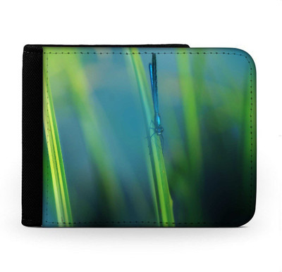 

Snoogg Men Multicolor Canvas Wallet(6 Card Slots), Multi