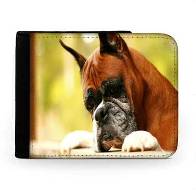 

Snoogg Men Multicolor Canvas Wallet(6 Card Slots), Multi