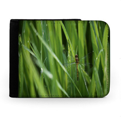 

Snoogg Men Multicolor Canvas Wallet(6 Card Slots), Multi