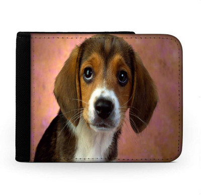 

Snoogg Men Multicolor Canvas Wallet(6 Card Slots), Multi