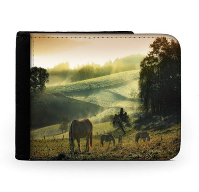 

Snoogg Men Multicolor Canvas Wallet(6 Card Slots), Multi