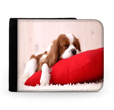 

Snoogg Men Multicolor Canvas Wallet(6 Card Slots), Multi