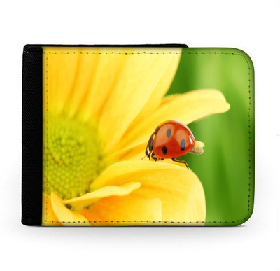 

Snoogg Men Multicolor Canvas Wallet(6 Card Slots), Multi