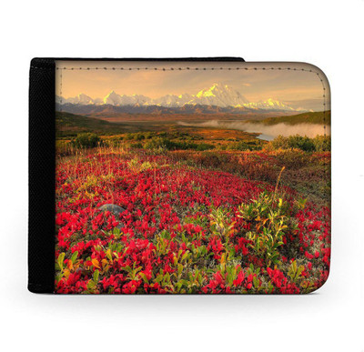 

Snoogg Men Multicolor Canvas Wallet(6 Card Slots), Multi