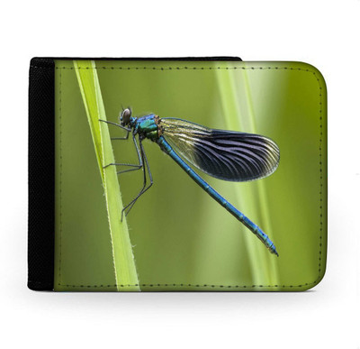 

Snoogg Men Multicolor Canvas Wallet(6 Card Slots), Multi