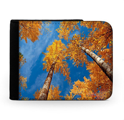 

Snoogg Men Multicolor Canvas Wallet(6 Card Slots), Multi