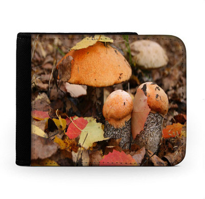 

Snoogg Men Multicolor Canvas Wallet(6 Card Slots), Multi