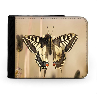 

Snoogg Men Multicolor Canvas Wallet(6 Card Slots), Multi