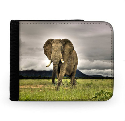 

Snoogg Men Multicolor Canvas Wallet(6 Card Slots), Multi