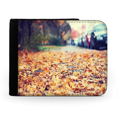 

Snoogg Men Multicolor Canvas Wallet(6 Card Slots), Multi