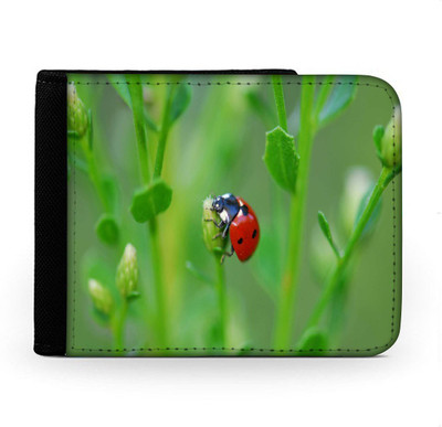 

Snoogg Men Multicolor Canvas Wallet(6 Card Slots), Multi