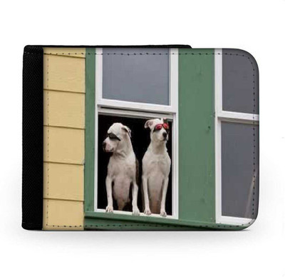 

Snoogg Men Multicolor Canvas Wallet(6 Card Slots), Multi