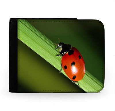 

Snoogg Men Multicolor Canvas Wallet(6 Card Slots), Multi