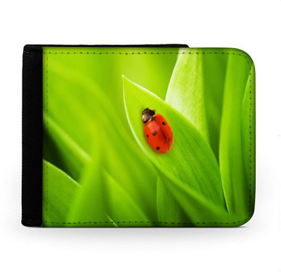 

Snoogg Men Multicolor Canvas Wallet(6 Card Slots), Multi