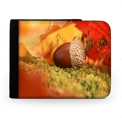 

Snoogg Men Multicolor Canvas Wallet(6 Card Slots), Multi