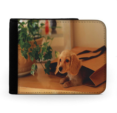 

Snoogg Men Multicolor Canvas Wallet(6 Card Slots), Multi