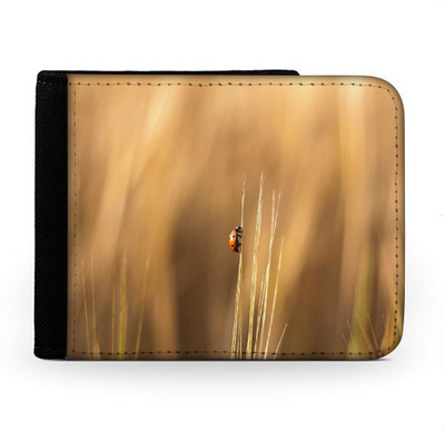 

Snoogg Men Multicolor Canvas Wallet(6 Card Slots), Multi