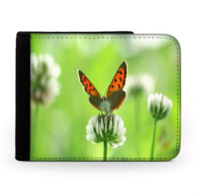 

Snoogg Men Multicolor Canvas Wallet(6 Card Slots), Multi