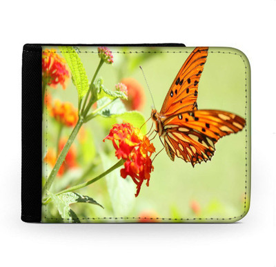 

Snoogg Men Multicolor Canvas Wallet(6 Card Slots), Multi