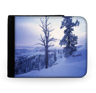 

Snoogg Men Multicolor Canvas Wallet(6 Card Slots), Multi