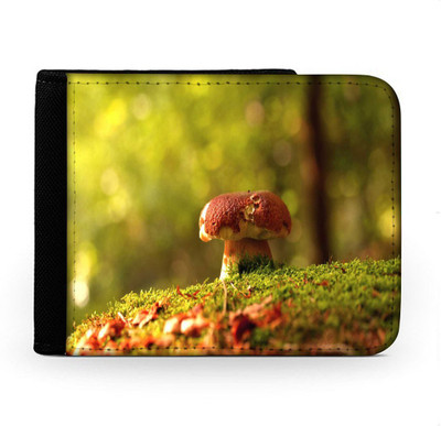 

Snoogg Men Multicolor Canvas Wallet(6 Card Slots), Multi