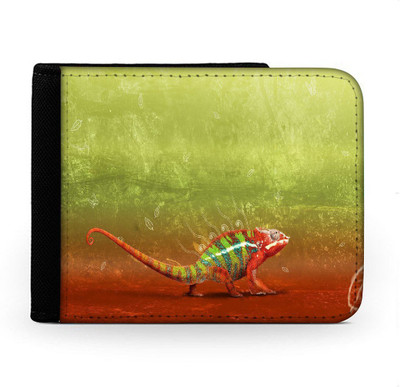 

Snoogg Men Multicolor Canvas Wallet(6 Card Slots), Multi