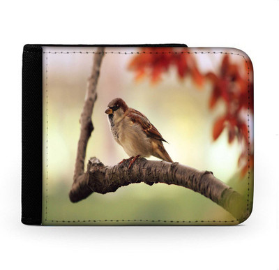 

Snoogg Men Multicolor Canvas Wallet(6 Card Slots), Multi