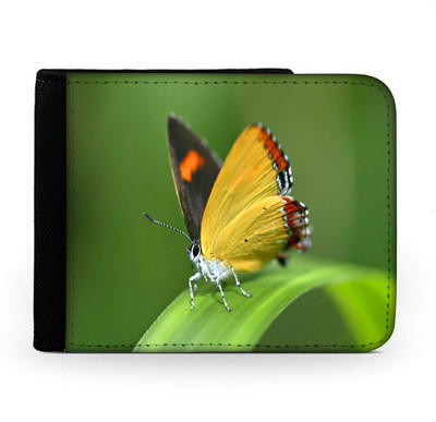 

Snoogg Men Multicolor Canvas Wallet(6 Card Slots), Multi