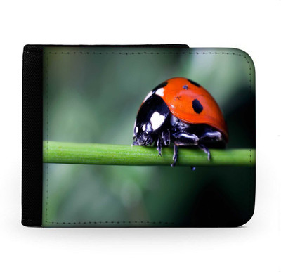 

Snoogg Men Multicolor Canvas Wallet(6 Card Slots), Multi